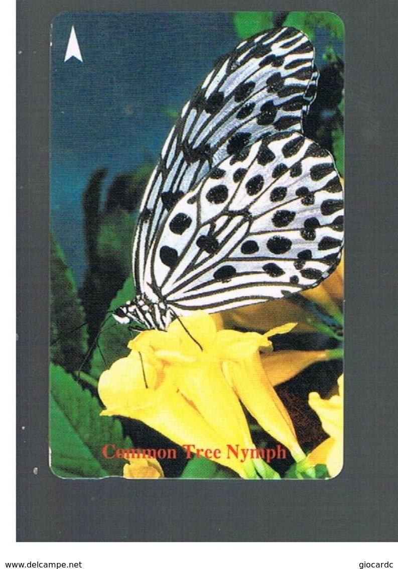 SINGAPORE -  1994   BUTTERFLIES: COMMON TREE NYMPH - USED -   RIF. 10414 - Farfalle