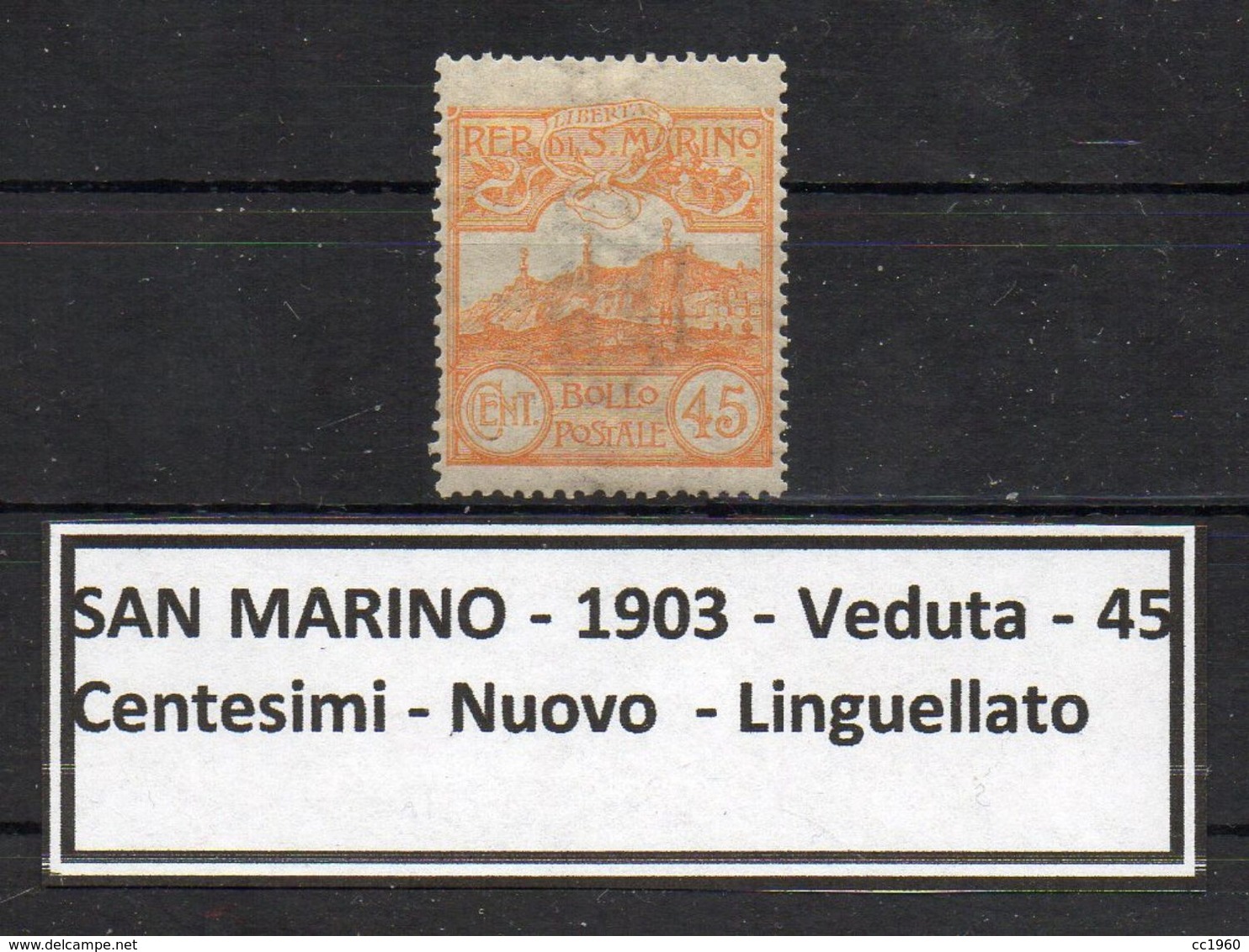 San Marino - 1903 - Veduta - 45 Centesimi - Nuovo - Linguellato - * - (FDC9100) - Nuevos