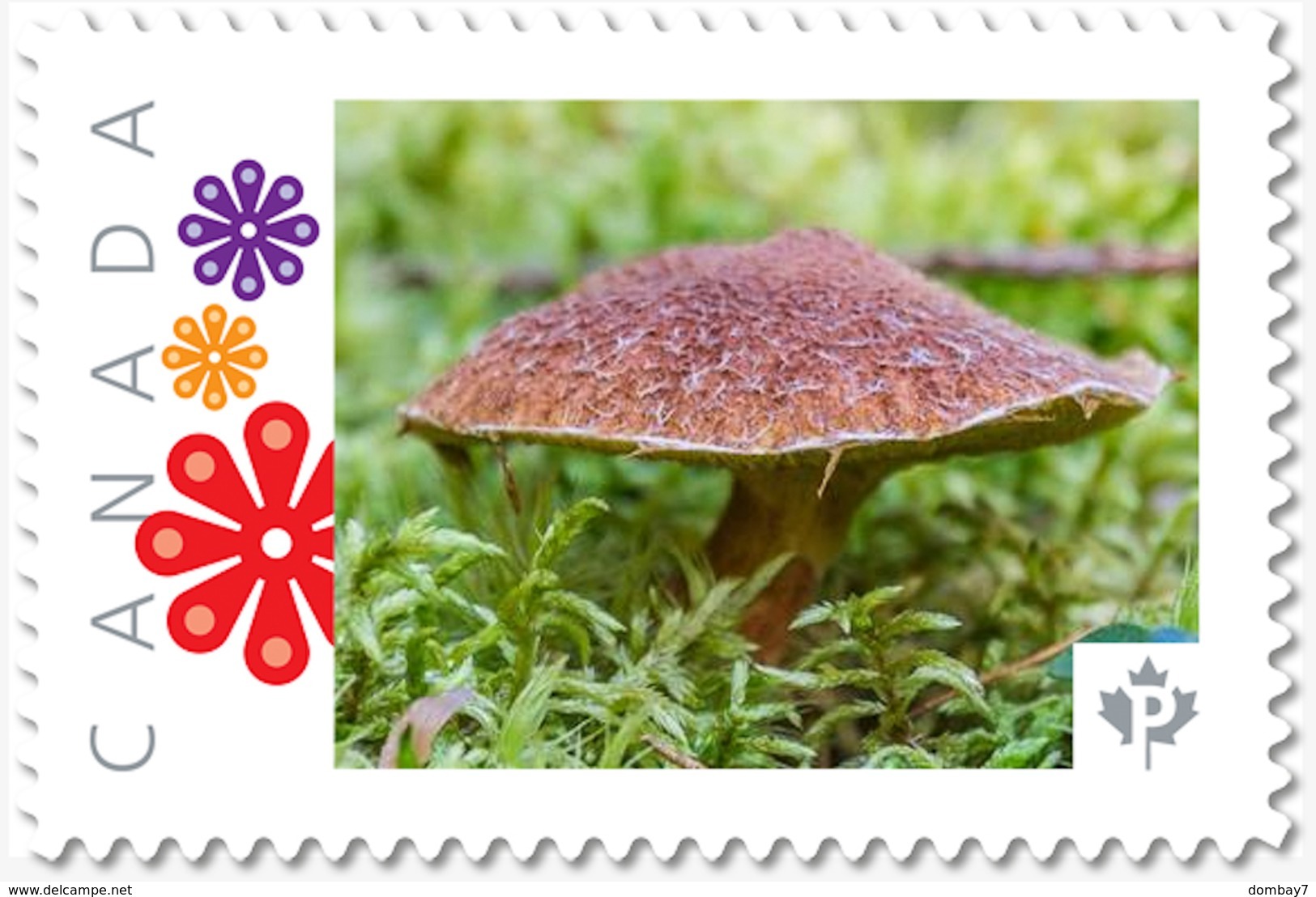 Brown MUSHROOM, Custom Postage Stamp MNH Canada 2018 [p18-04sn18] - Mushrooms