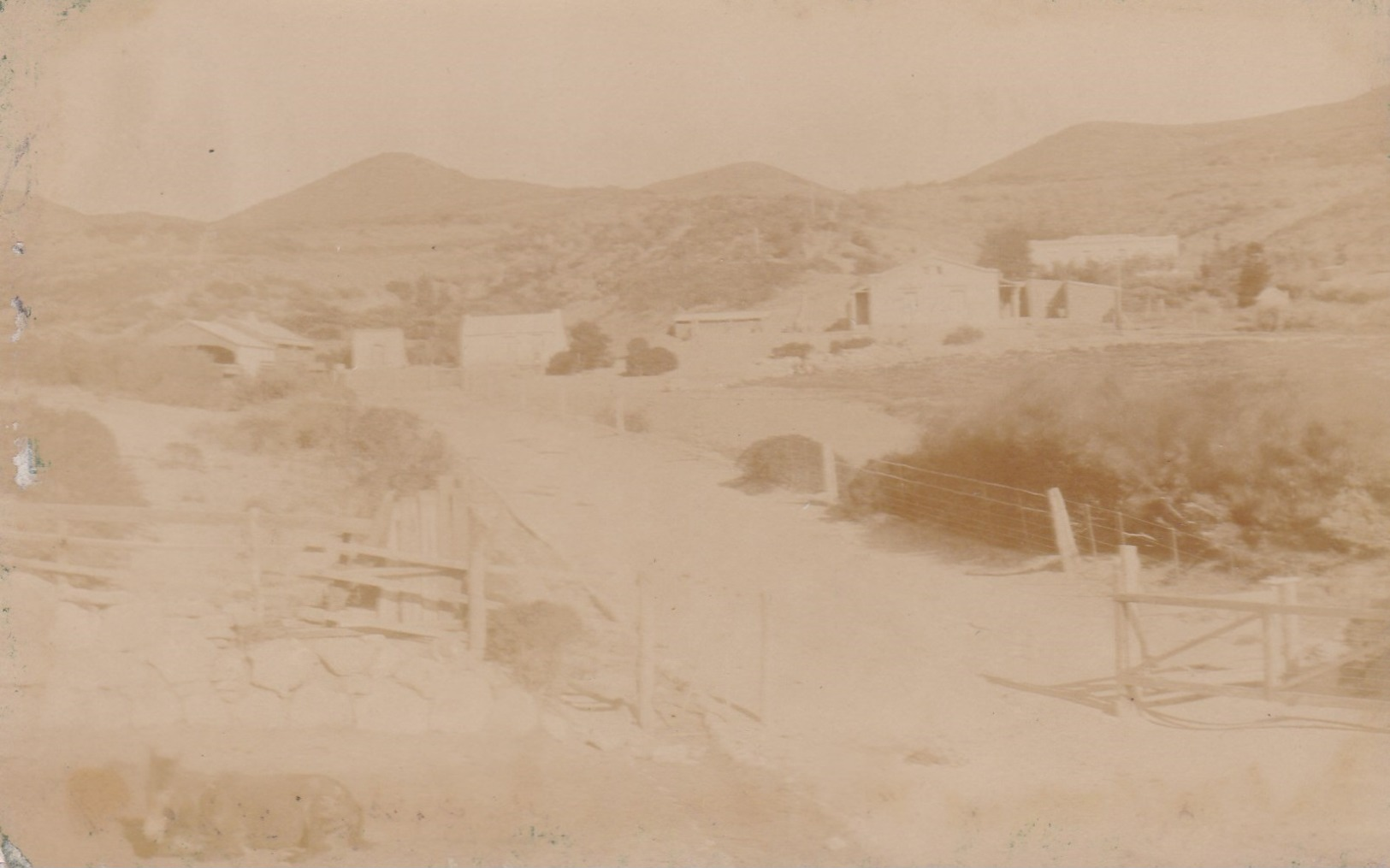 Argentinien Mi. 126 Auf Fotokarte Gest. - Ansehen!! - Briefe U. Dokumente