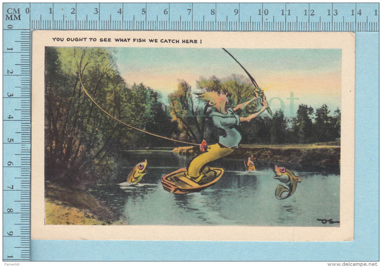 Humour, Comics -  You Ought To See What Fish We Catch Hear!  -   Carte Postale - Humour