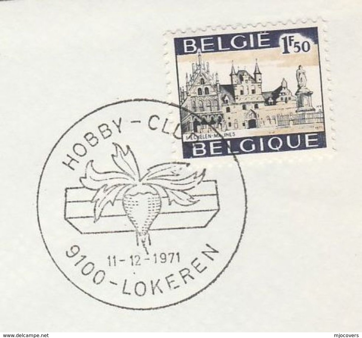 1971 Lokeren SUGAR BEET EVENT COVER  Belgium Stamps Vegetable Food - Groenten