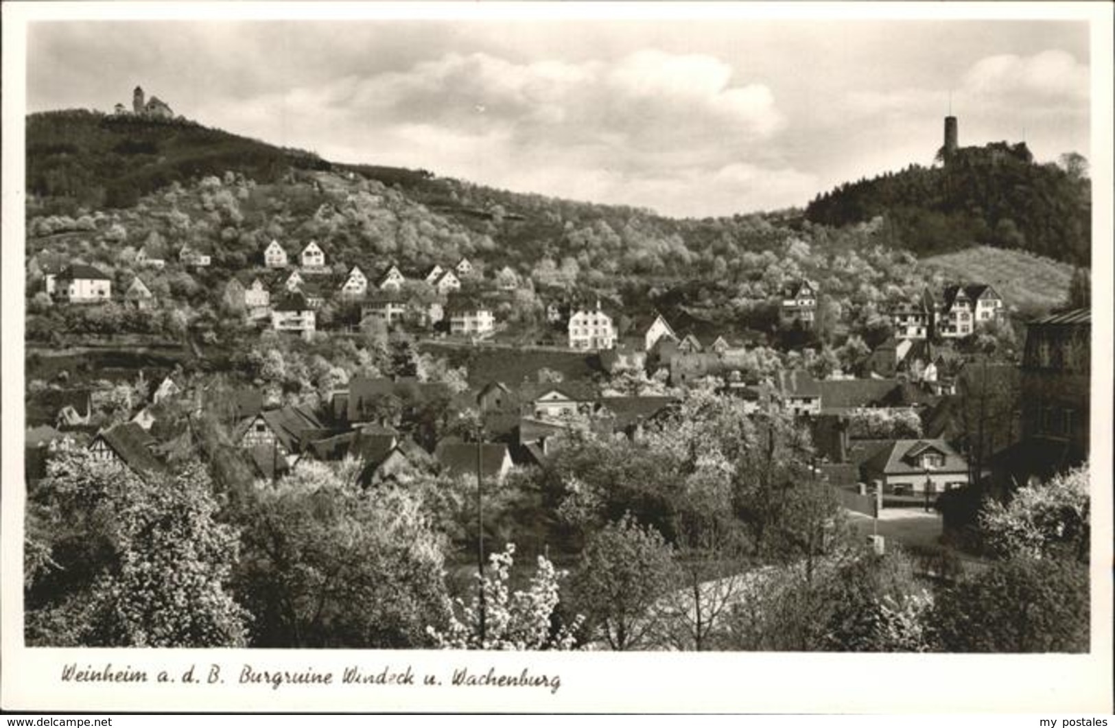 41258122 Weinheim Bergstrasse Burgruine Windeck Wachenburg Weinheim - Weinheim