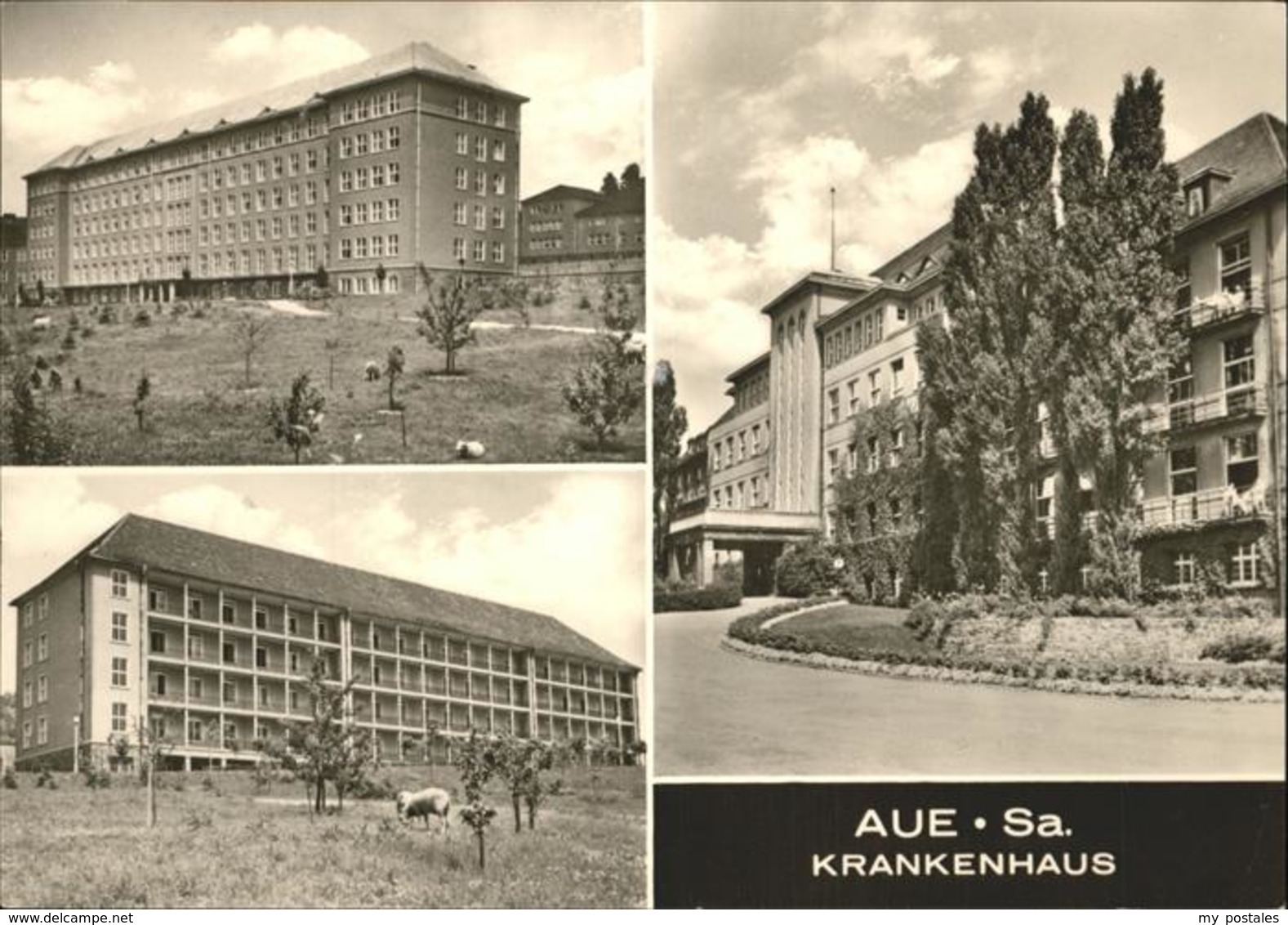 41258974 Aue Erzgebirge Krankenhaus Aue - Aue