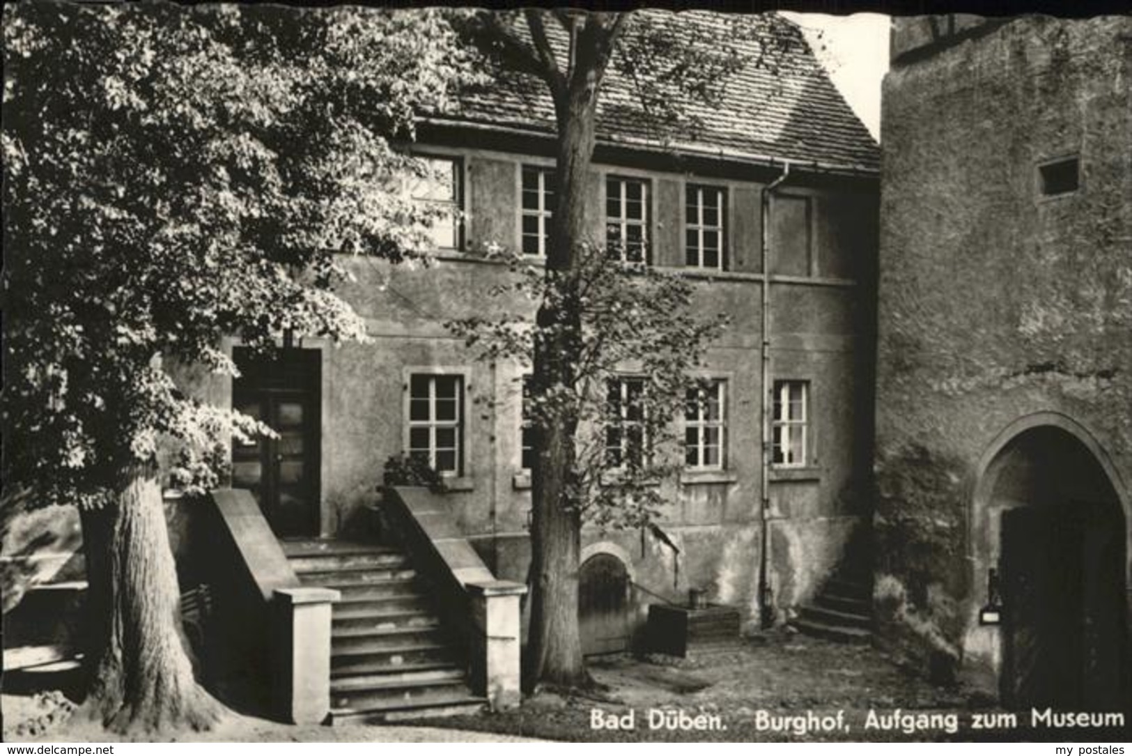 41260701 Bad Dueben Burghof Museum Bad Dueben - Bad Dueben