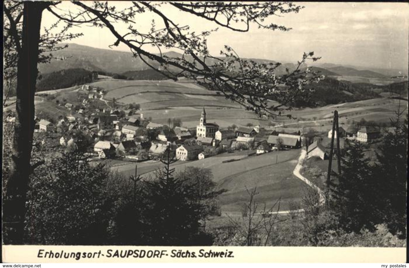 41261270 Saupsdorf  Saupsdorf - Kirnitzschtal