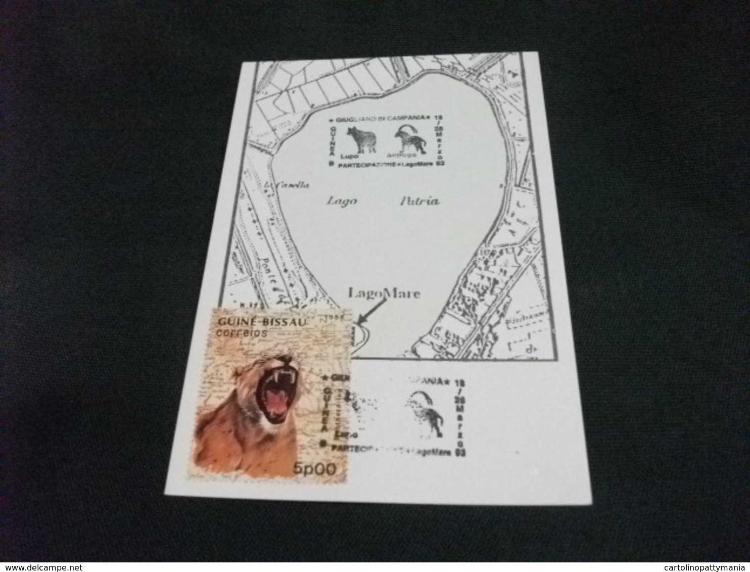 STORIA POSTALE  FRANCOBOLLO GUINE' BISSAU  CARTA GEOGRAFICA LAGO PATRIA   LAGOMARE 1993 GIUGLIANO IN CAMPANIA - Carte Geografiche