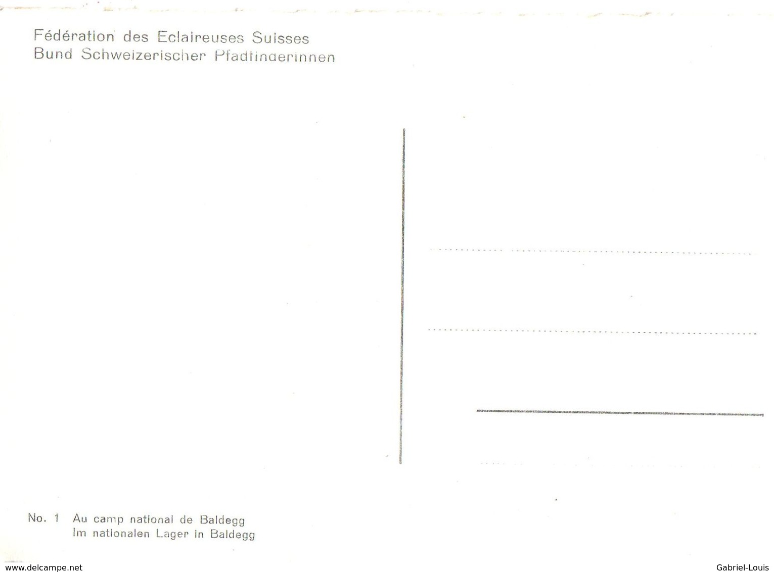 Fédération Des Eclaireuses Suisses - Au Camp - Bund Schweizerischer Pfadfinderinnen (carte 10 X 15 ) - Non Circulé - Scouting