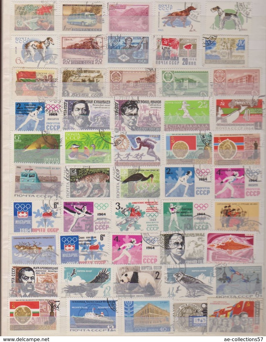 Russie / Lot De Timbres / 4  Pages / Etats Divers - Collections