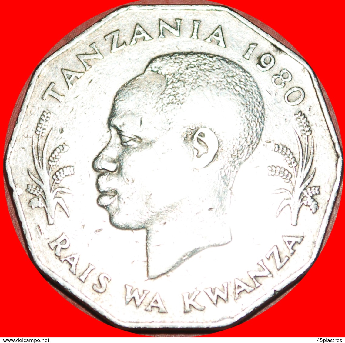 √ COW* TANZANIA ★ 5 SHILLINGS 1980! LOW START ★ NO RESERVE! - Tanzania