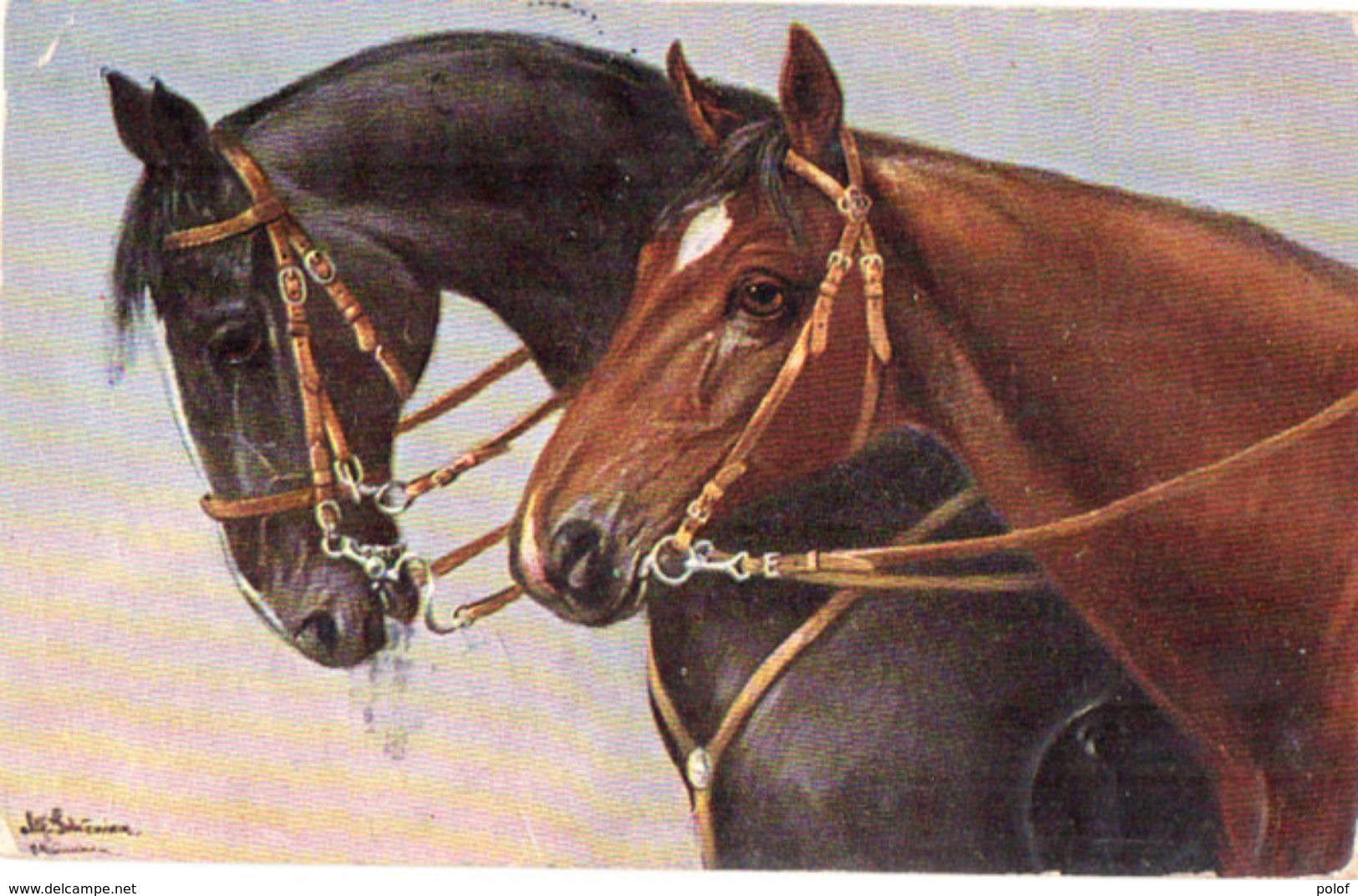 Illustration - 2 Chevaux    (104147) - Pferde