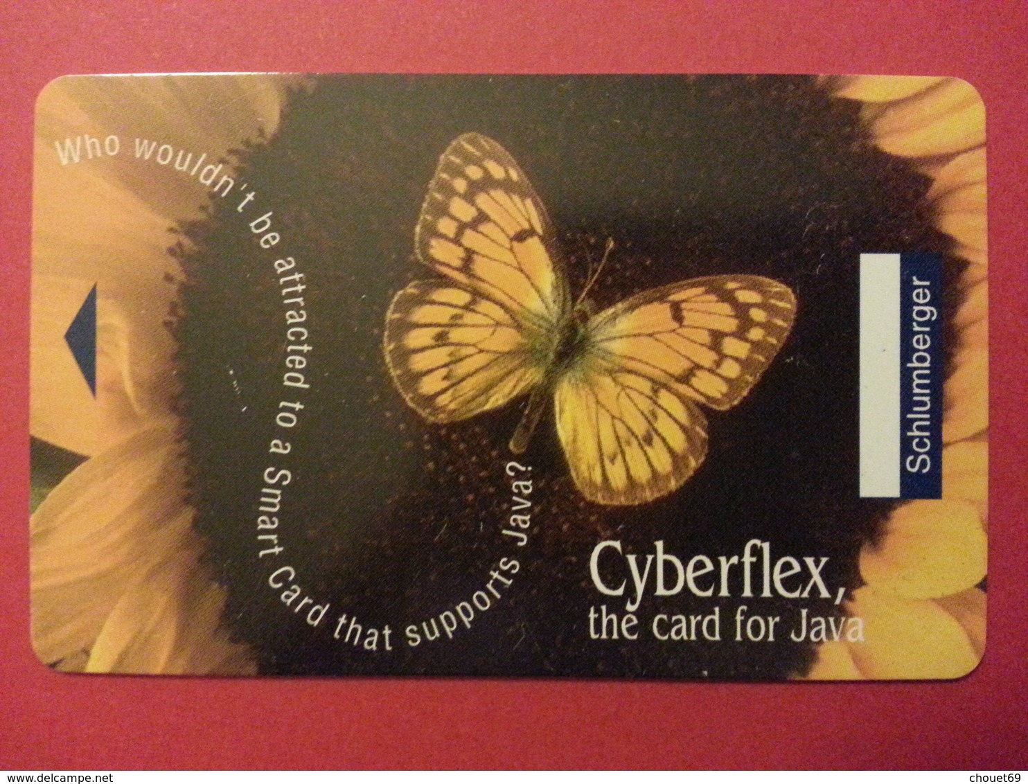 Test Schlumberger Cyberflex Java Papillon Sans Puce Demo - Unknown Origin