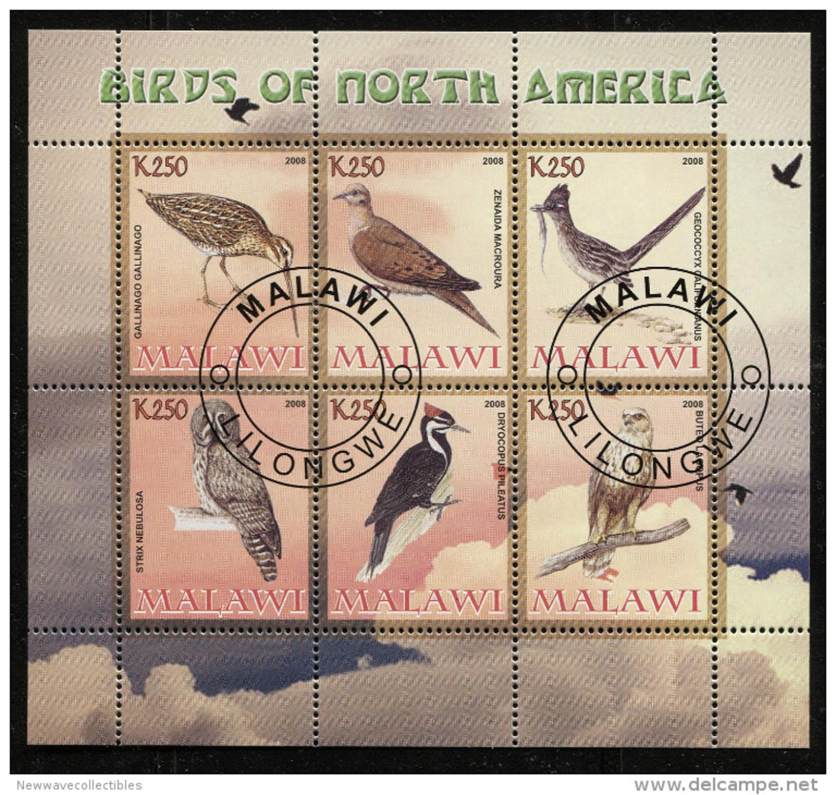 BIRDS OF NORTH AMERICA On SOUVENIR SHEET 6 STAMPS,CTO USED - Other & Unclassified