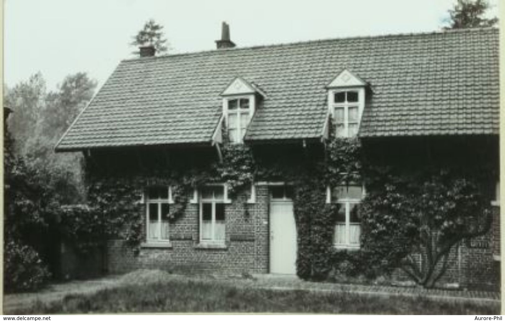 Roisin Maison Et Musée Verhaeren Photo De 1949 " Reproduction Interdite Thill Bxl " - Honnelles