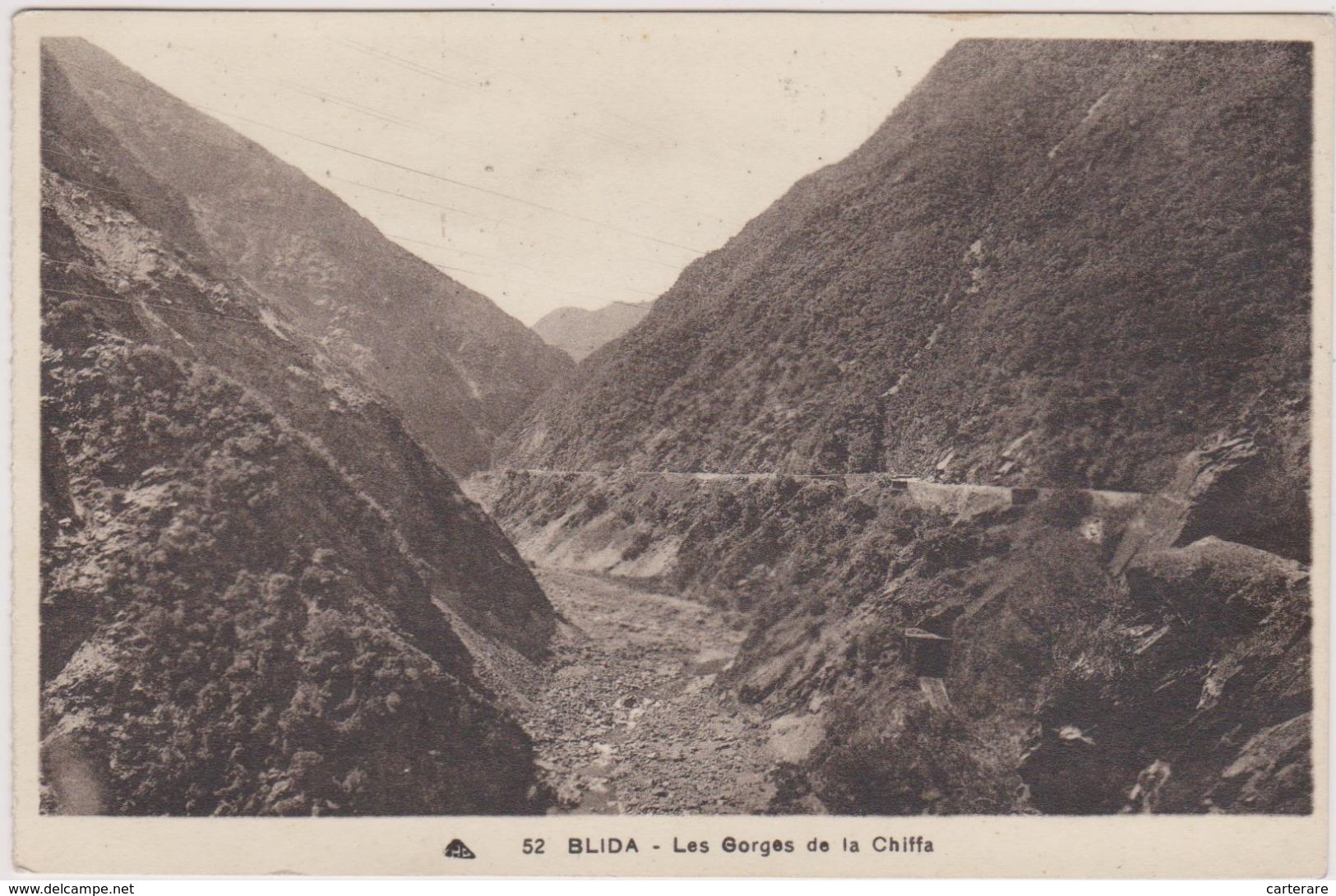 AFRIQUE DU NORD,africa,ALGERIE,BLIDA EN 1937,la Ville Des Roses,pied ATLAS TELLIEN,gorges De La Chiffa - Blida