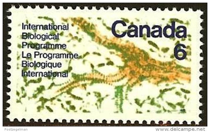 CANADA, 1970, Mint Never Hinged Stamp(s), Biologic Program,  Michel 450, M5579 - Ongebruikt