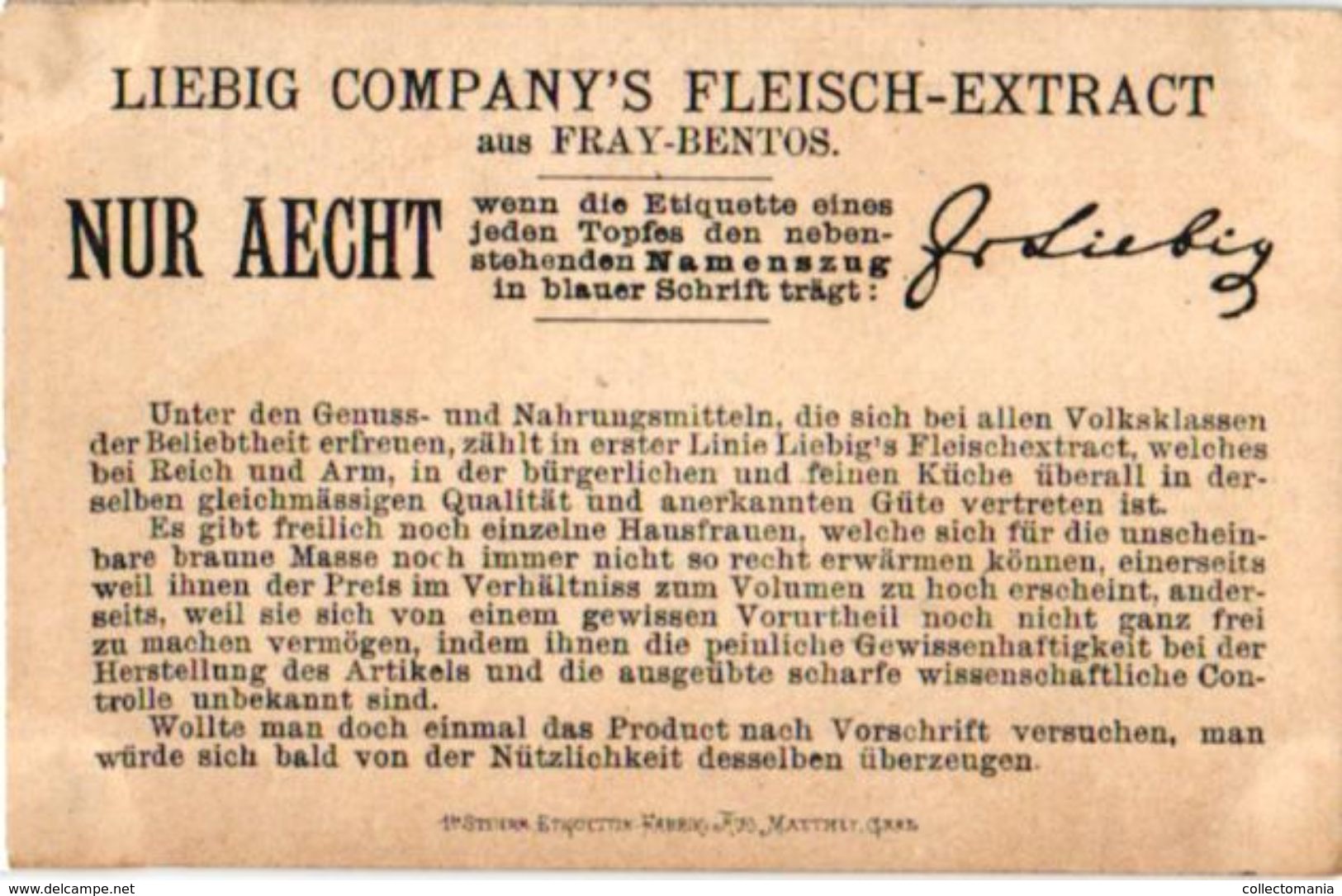 LIEBIG 0081 - ARNOLD 20 - Genrebilder XII Fleisch Extract - Rare Card -montagna - MATTHEY Printer - Liebig