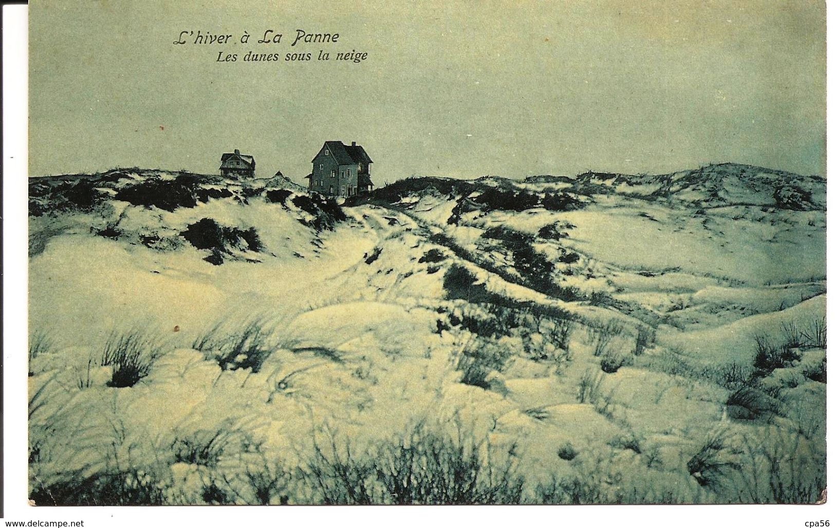 DE PANNE - Dunes Sous La Neige - (vers 1904) - De Panne