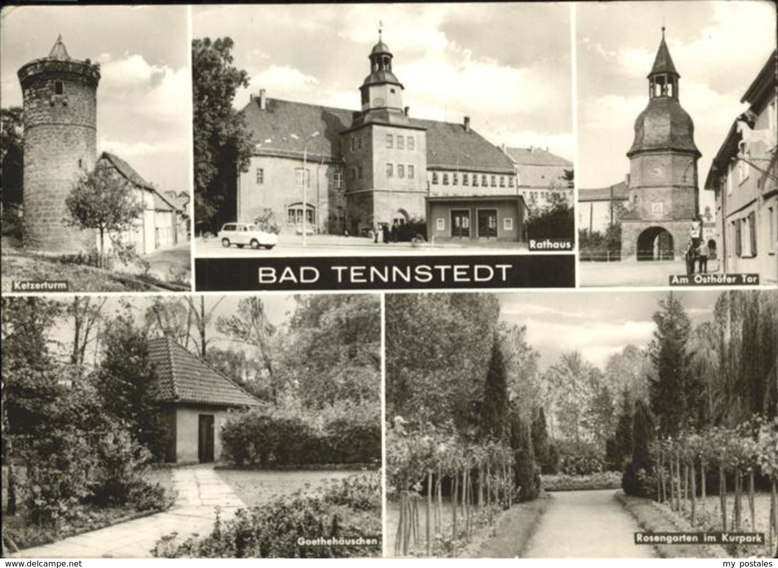 41257780 Bad Tennstedt Osthoefer Tot Rosengarten Kurpark Goethehaeuschen Bad Ten - Bad Tennstedt