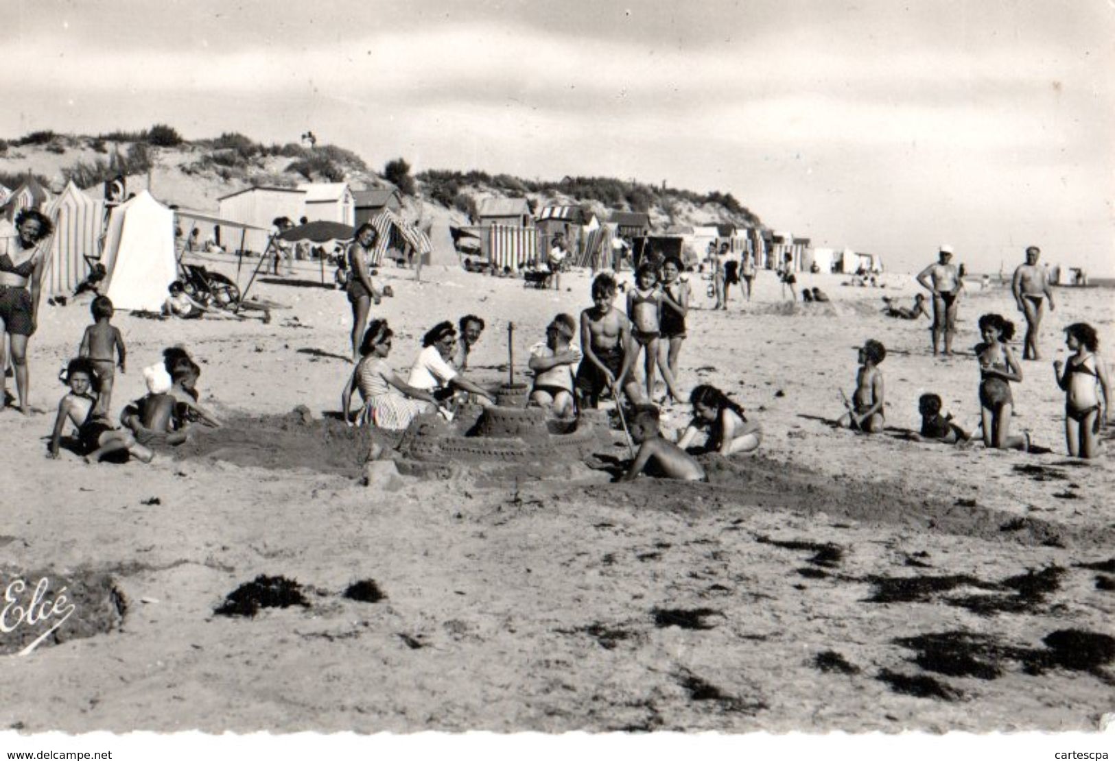 Ile De Ré La Couarde Les Jeux De La Plage  CPM Ou CPSM - Ile De Ré