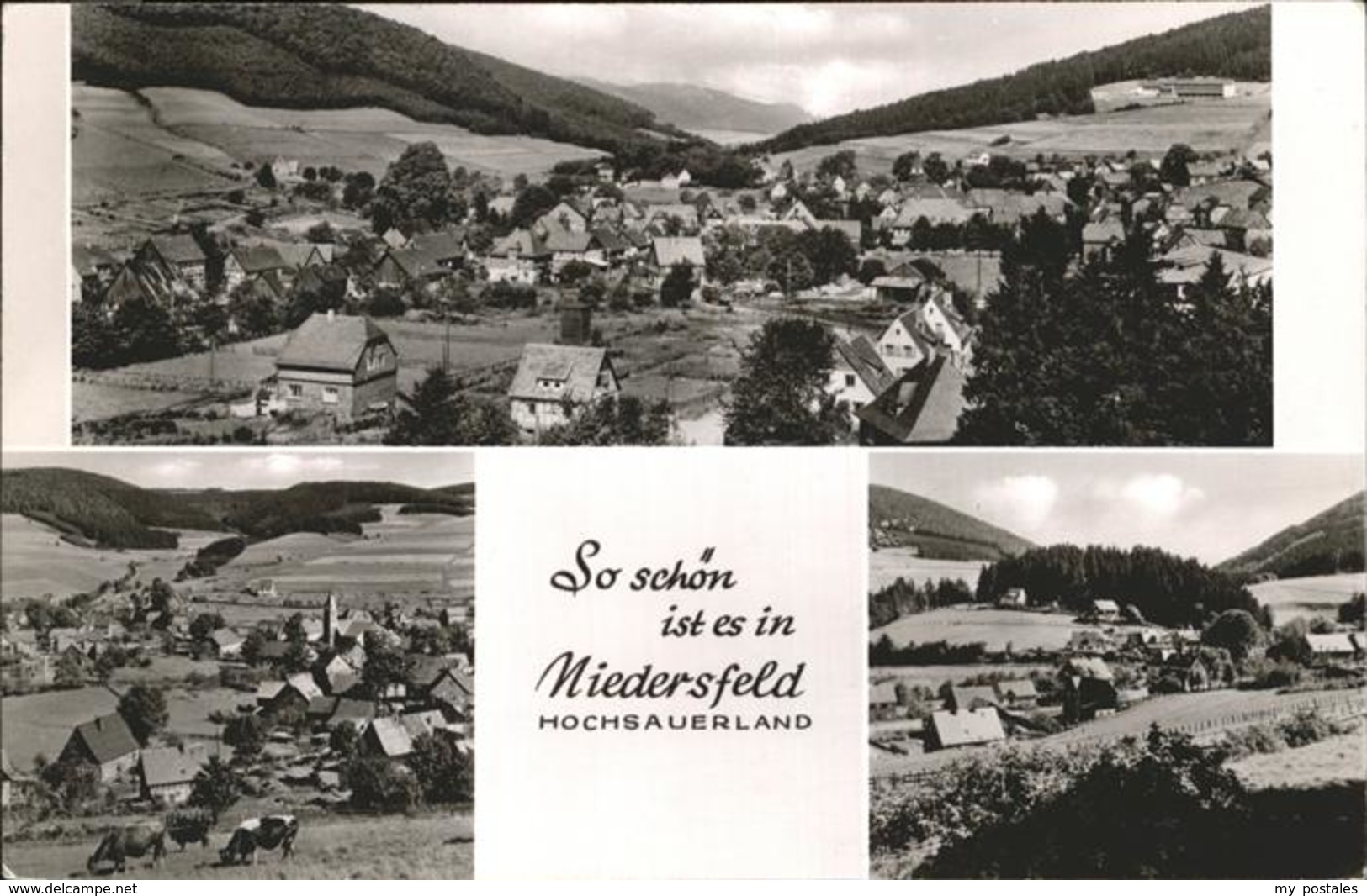 41274772 Niedersfeld  Niedersfeld - Winterberg