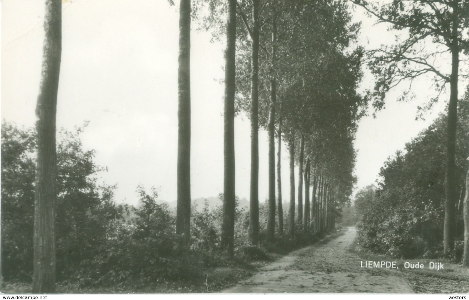 Liempde; Oude Dijk - Niet Gelopen. (F. De Wert V.d. Hurk - Liempde) - Sonstige & Ohne Zuordnung