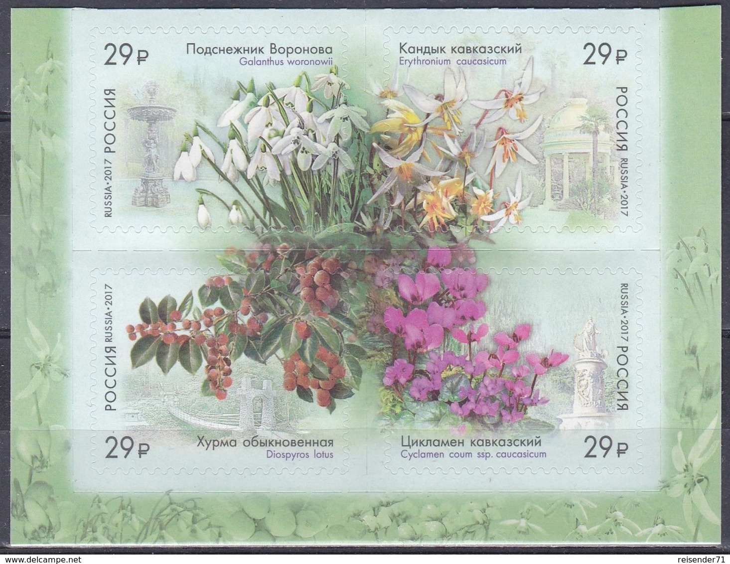 Russland Russia 2017 Flora Pflanzen Plants Blumen Blüten Flowers Arboretum Sotschi Natur, Mi. 2424-7 ** - Ungebraucht