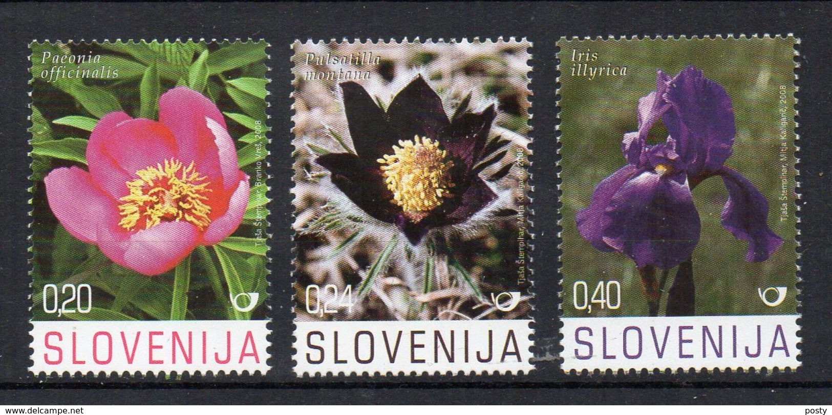 SLOVENIE - SLOVENIA - 2008 - FLEURS - FLOWERS - - Slovénie