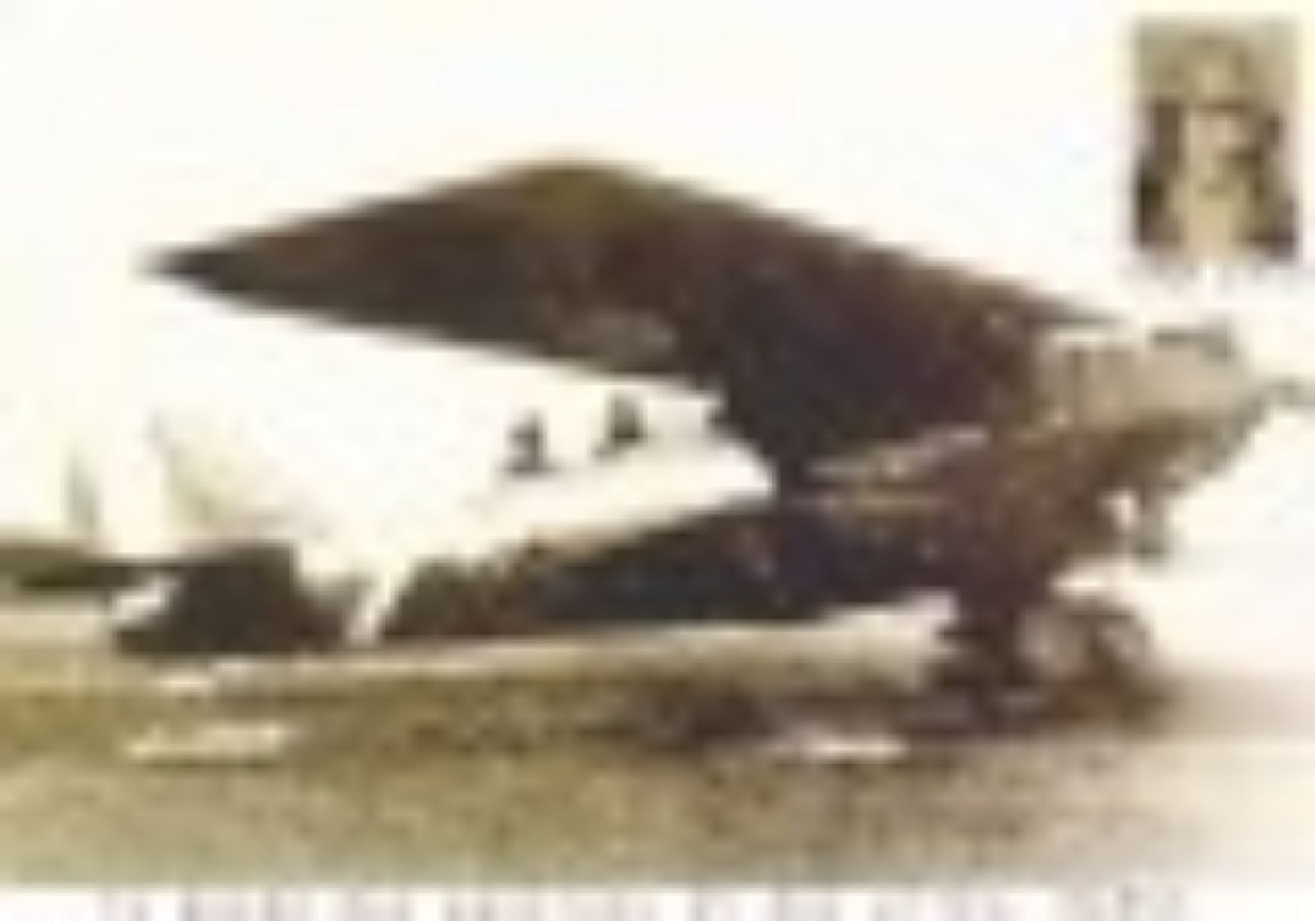 Aviateur Joseph Le Brix - Baden 56 - Timbre Adhésif + 1 Carte Postale Bréguet 19 - Altri & Non Classificati
