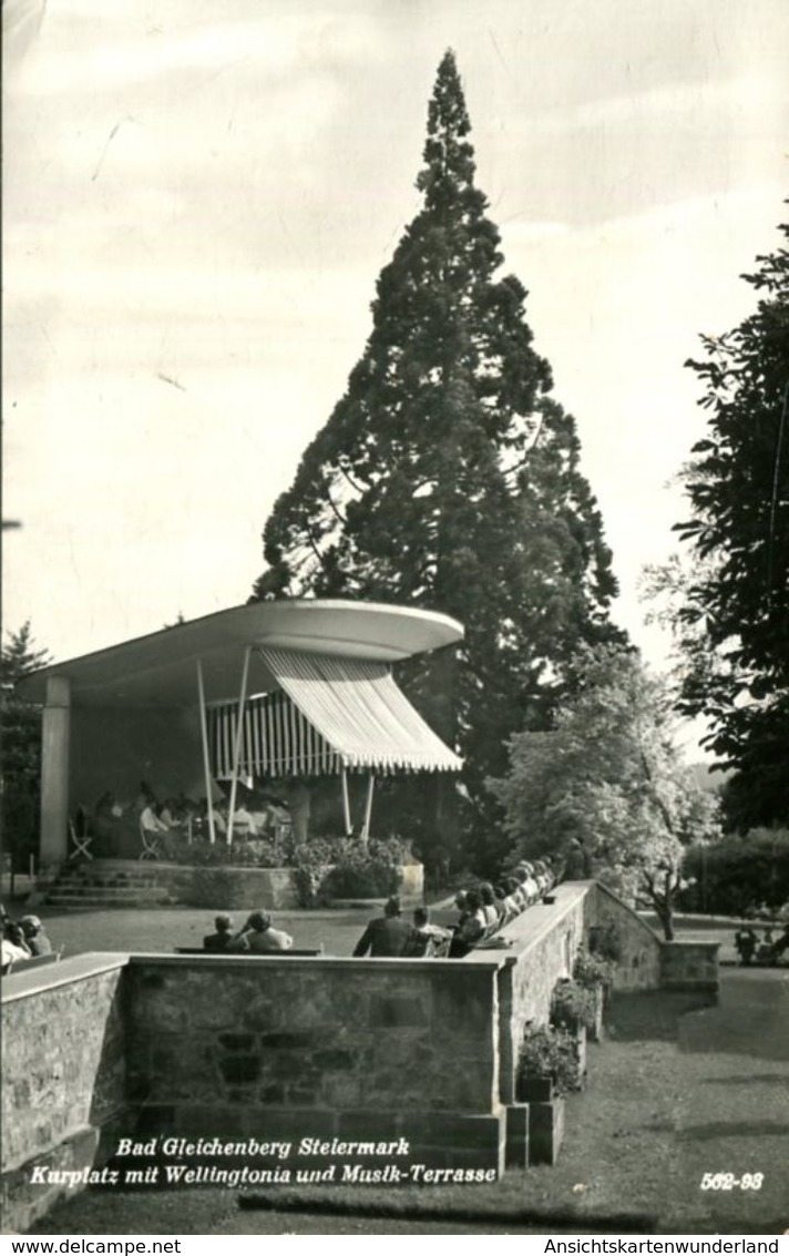 003174 Bad Gleichenberg - Kurplatz Mit Wellingtonia Und Musik-Terrasse 1961 - Bad Gleichenberg