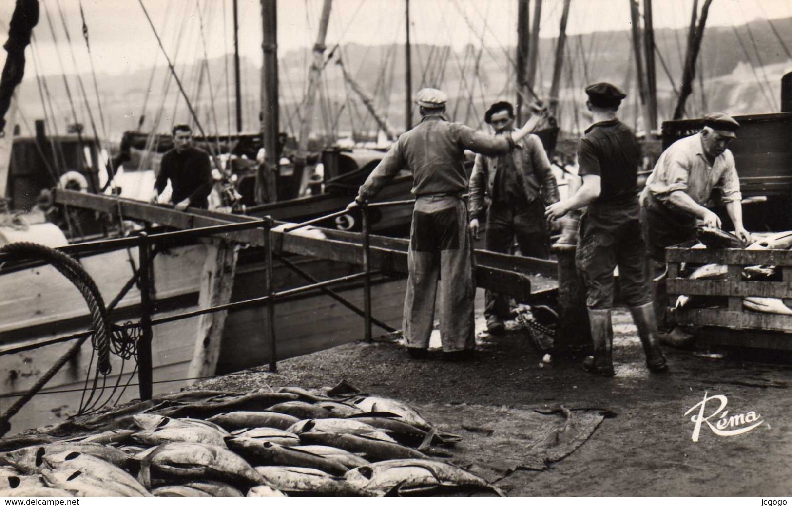 DOUARNENEZ  Débarquement Du Poisson. 2 Scans  TBE - Douarnenez