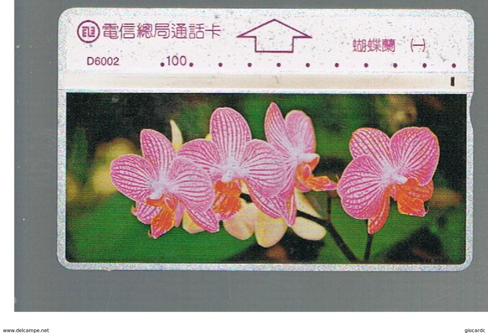 TAIWAN -      1996 FLOWERS: ORCHID                    - USED -  RIF. 10456 - Fleurs