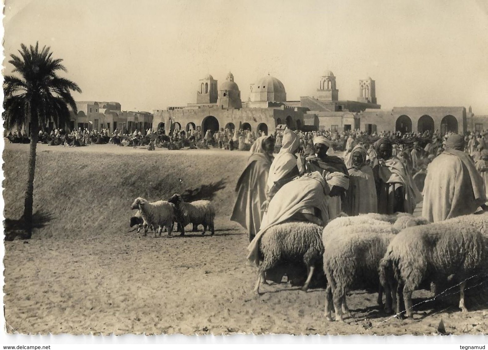 SAHARA - Marché Dans Le Sud - Sahara Occidental