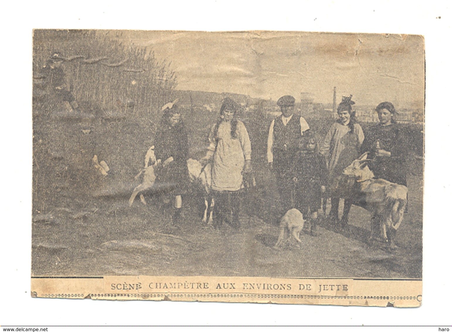 Jette Carte Postale BRICOLEE !!!  ( Article De Journal Collé Sur Une Carte Postale ) Scène Champêtre, Chèvres - Jette