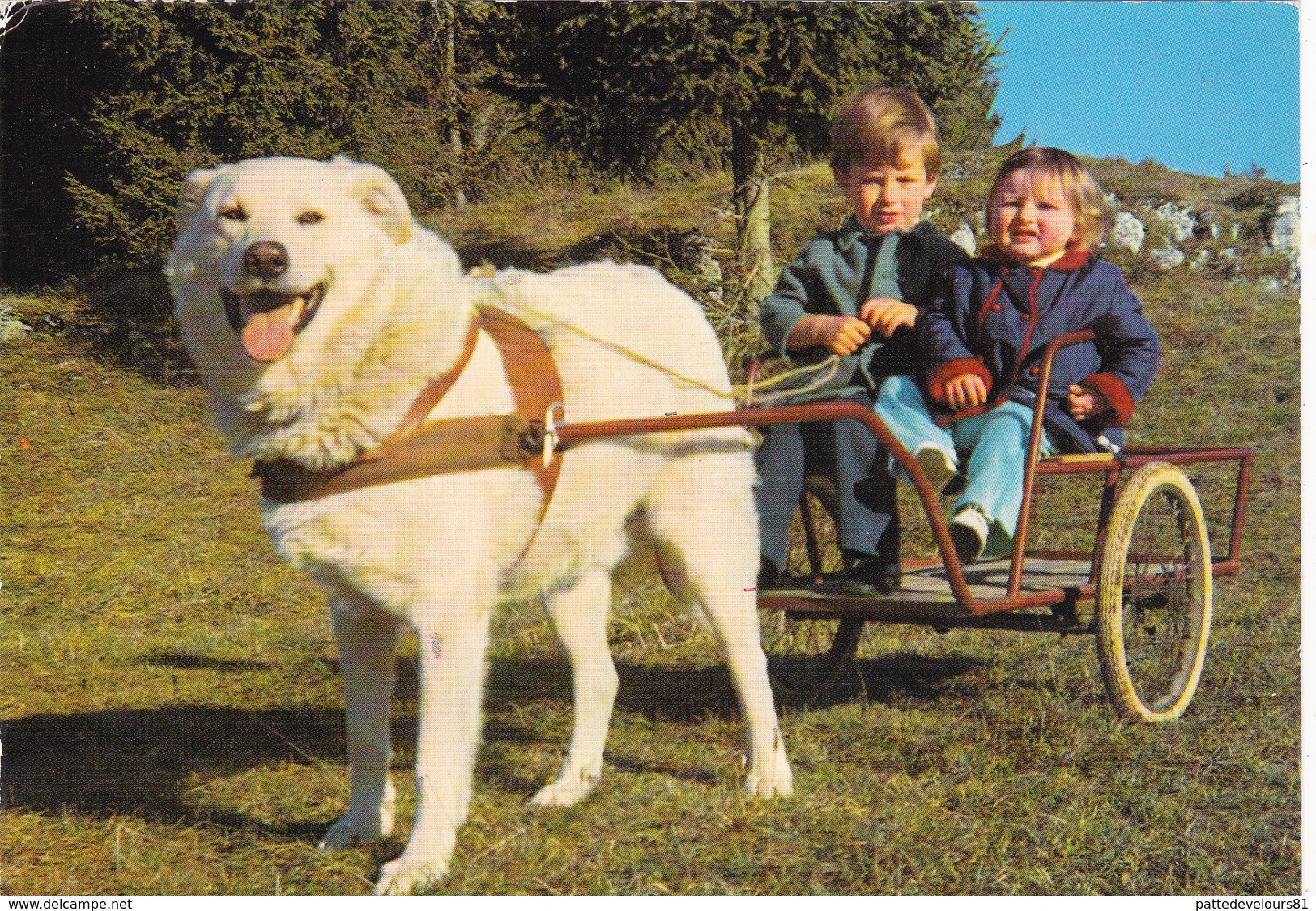 CPM Attelage De Chien Tirant Une Cariolle Avec 2 Enfants Chien Des Pyrénées Dog - Chiens