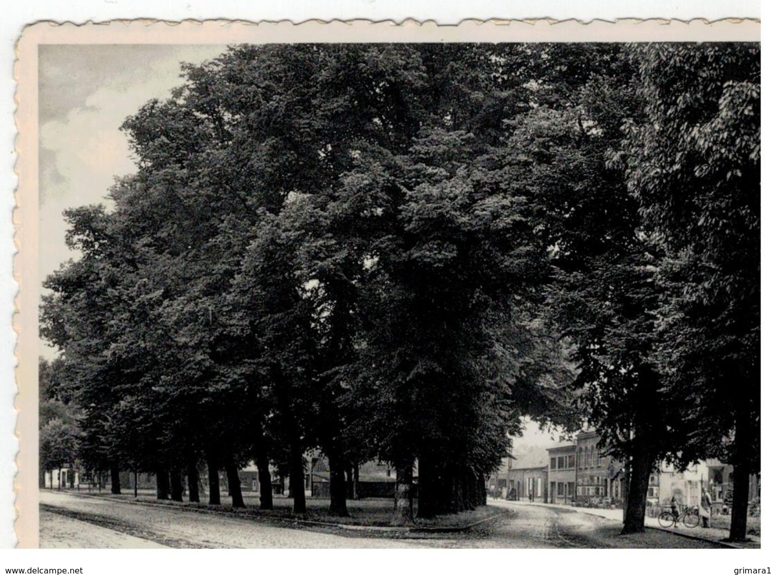 Olen  De Driekantige Olenaars Hebben Een Driekantig Dorpsplein Vol Geurige Linden - Olen