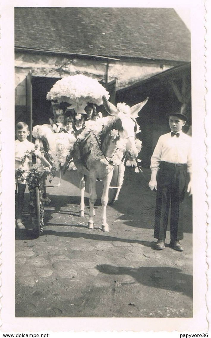 Lot De 3 PHOTOS De La Fête Des GRATTONS à Châteaumeillant (Cher) 1952 - Otros & Sin Clasificación