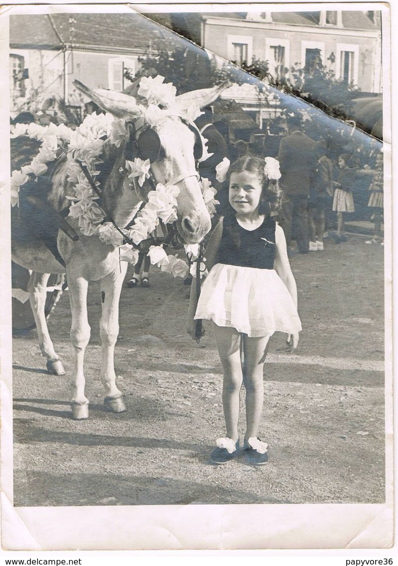 Lot De 3 PHOTOS De La Fête Des GRATTONS à Châteaumeillant (Cher) 1952 - Otros & Sin Clasificación