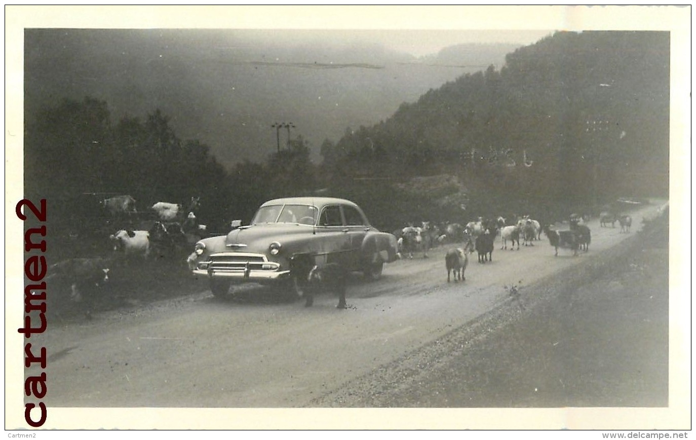 13 PHOTOGRAPHIES ANCIENNES : NORVEGE NORWAY HARDANGE FJORD TELEMARK RJUKAN NARVIK ISLO AUTOMOBILE CAR