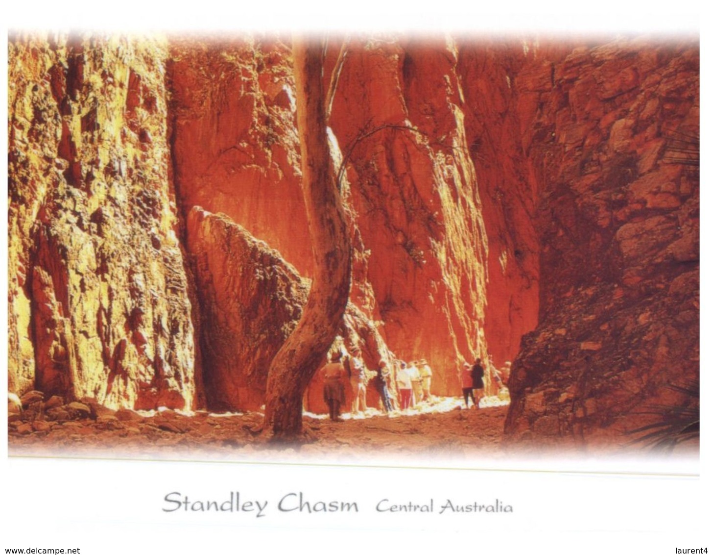 (400) Australia - NT - Standley Chasm - The Red Centre