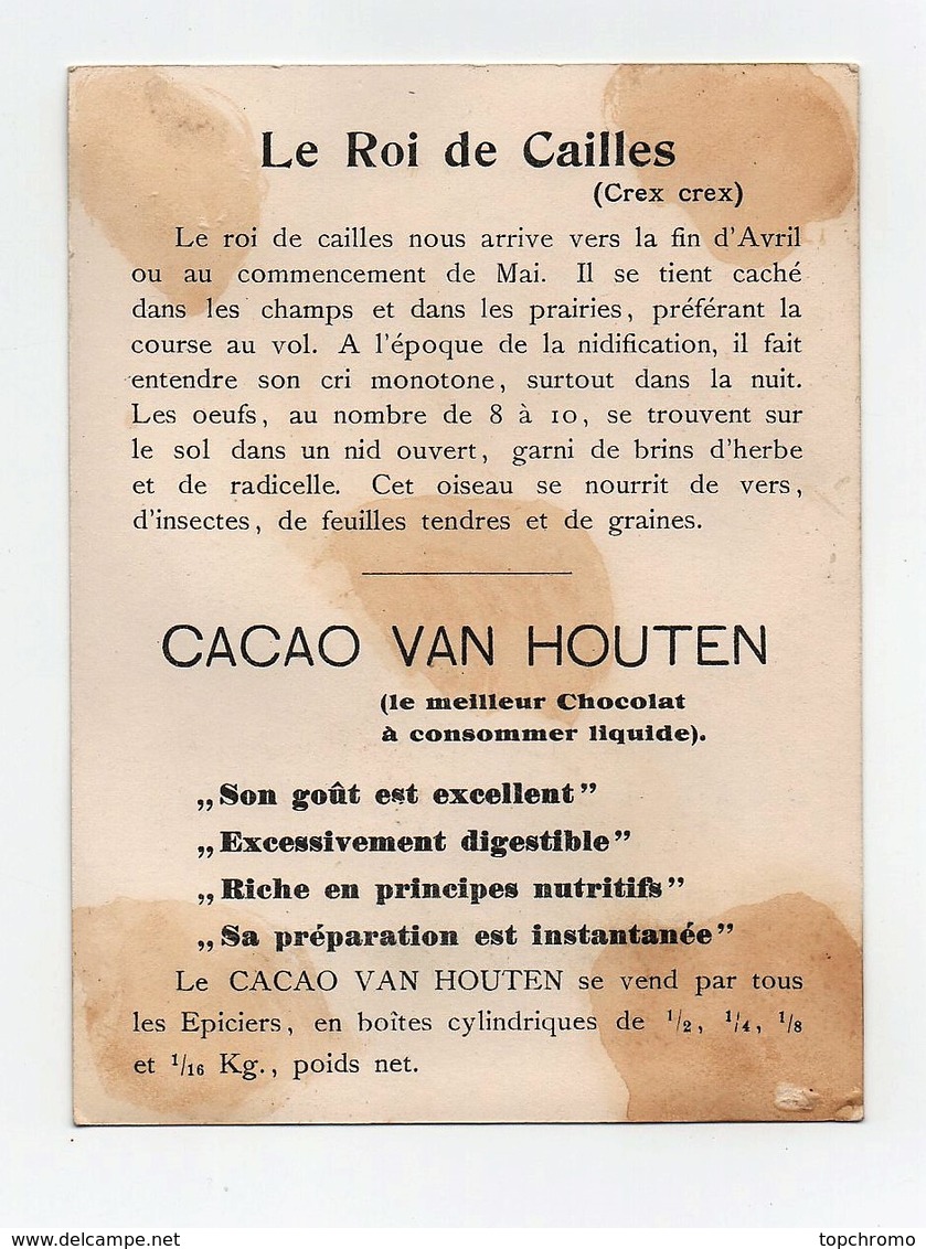 CHROMO Chocolat Van Houten Le Roi Des Cailles Nid Oeufs - Van Houten