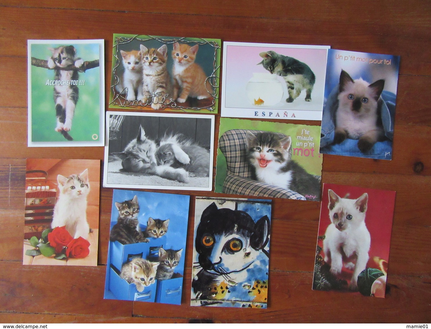 Lot De 10 Cartes De Chats - 5 - 99 Postales