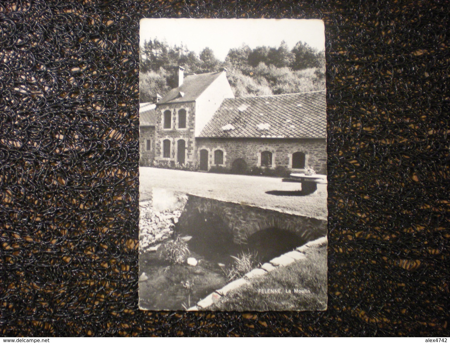 FELENNE, Le Moulin, Vue Rare (F5) - Beauraing