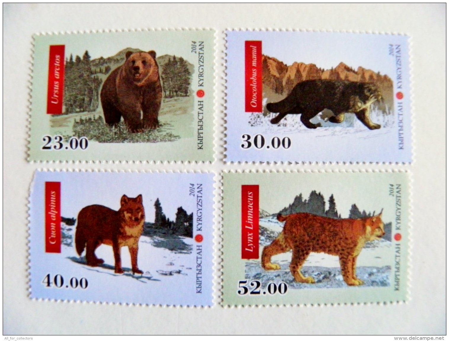 Mint Post Stamps From Kyrgyzstan 2014 Animals Fauna Wild Cat Lynx Bear Ursus Wolf Damaged - Kirghizistan