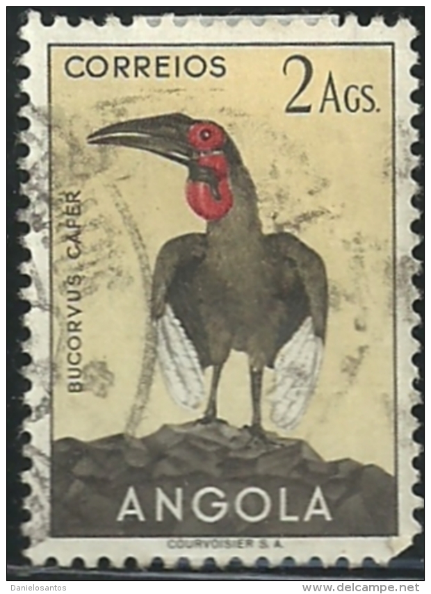 Angola 1951 Birds In Natural Colors A31Southern Ground Hornbill Canc - Cuco, Cuclillos