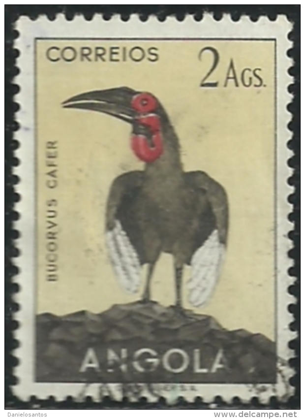 Angola 1951 Birds In Natural Colors A31Southern Ground Hornbill Canc - Cuckoos & Turacos