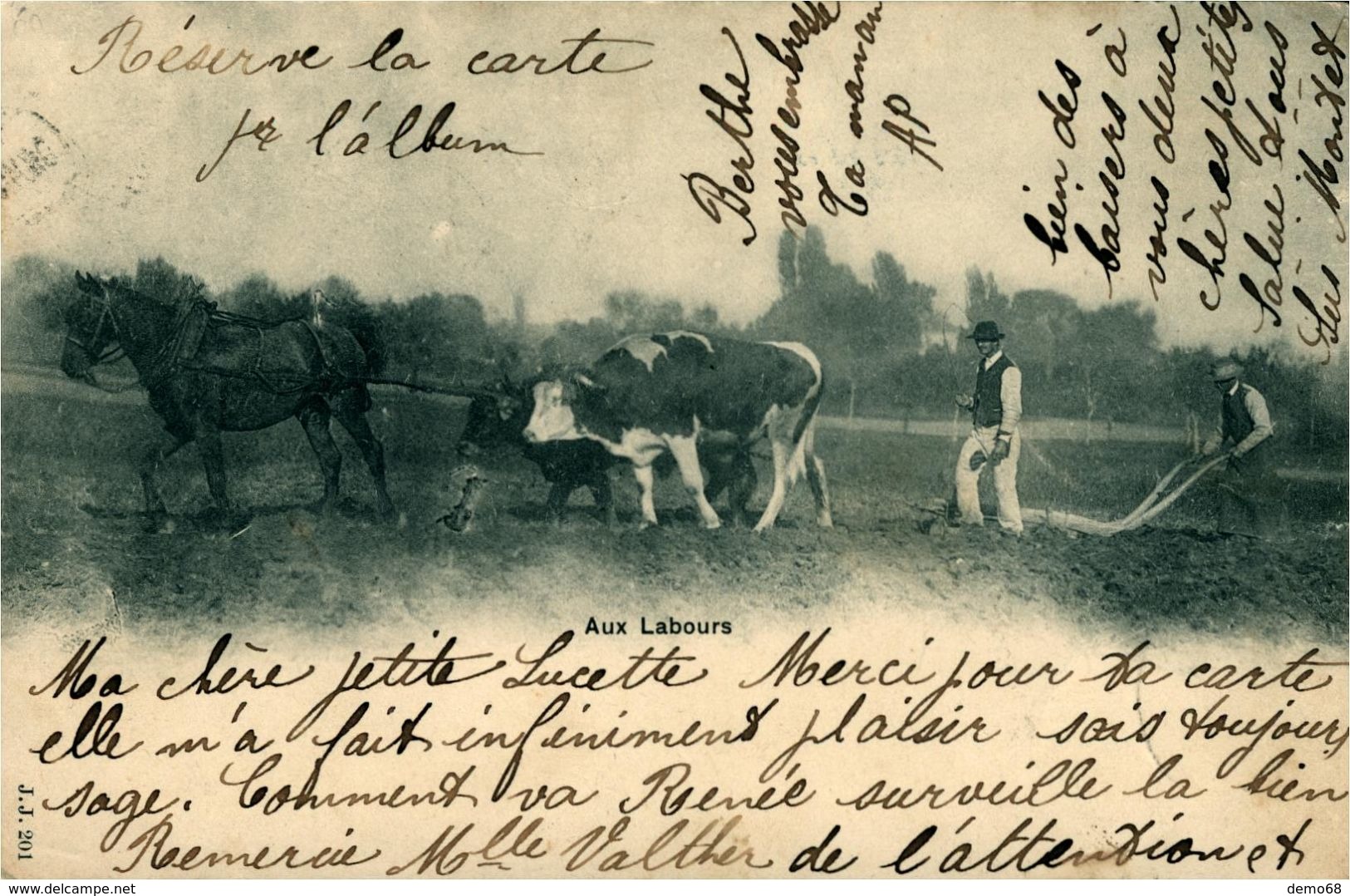 Aux Labours Laboureurs Cheval Et Vaches  Aux Labours Carte De Suisse Swizeriza Schweiz 30.08;1902 Vaud - Teams