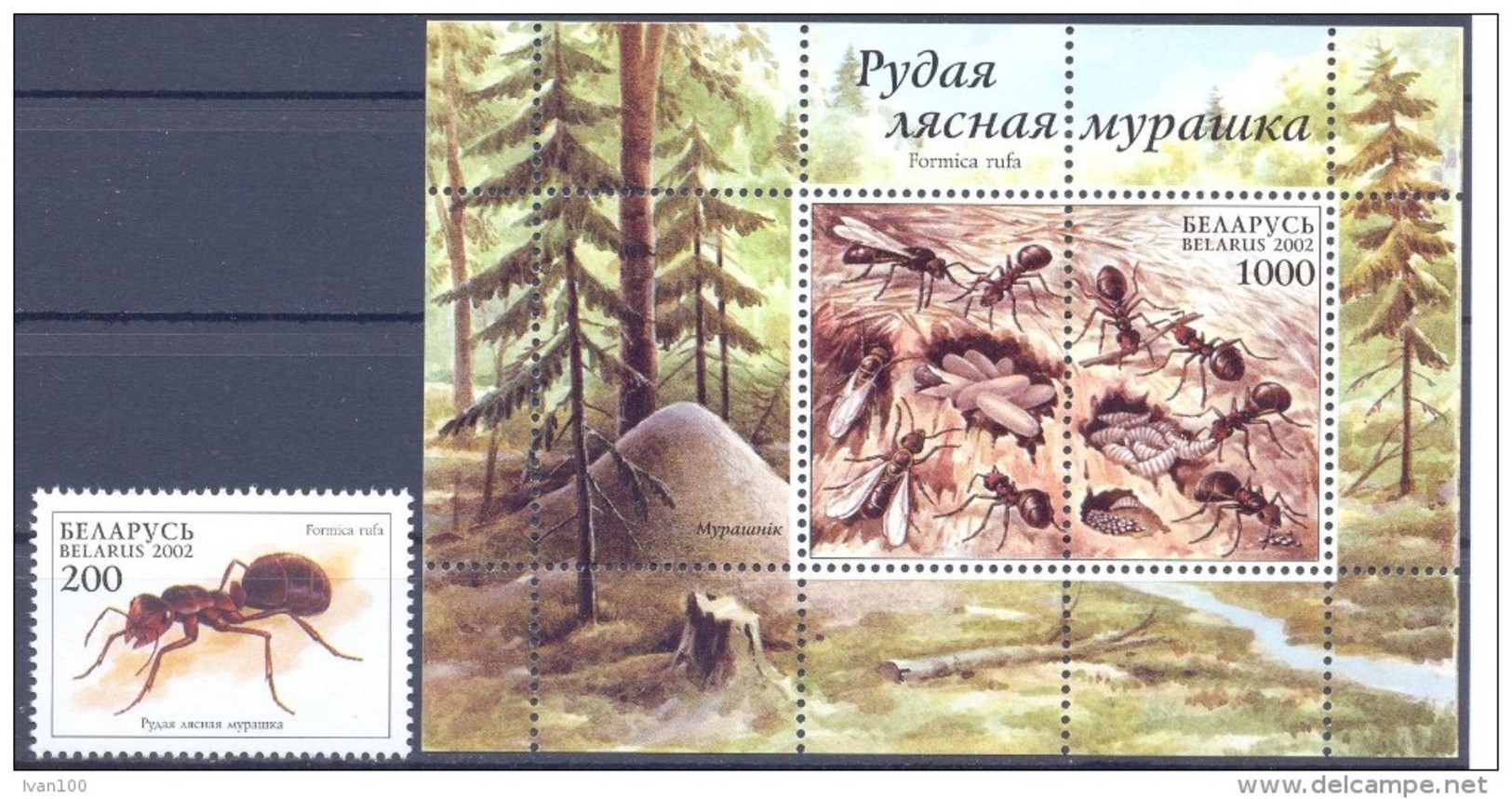 2002. Belarus, Insects, Ants, 1v + S/s, Mint/** - Belarus
