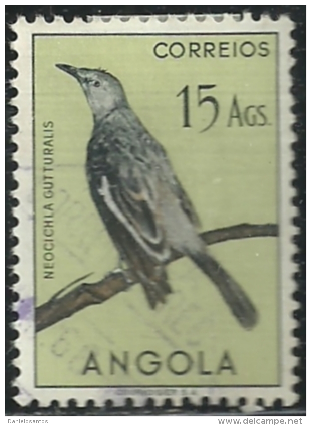 Angola 1951 Birds In Natural Colors A31 White Winged Babbling Starling Canc - Cuco, Cuclillos