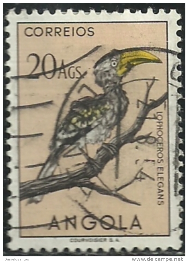 Angola 1951 Birds In Natural Colors A31 Yellow Billed Hornbill Canc - Cuco, Cuclillos
